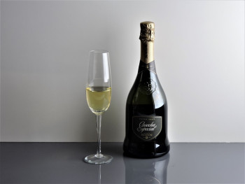 Copa Gourmet Champagne Lisa