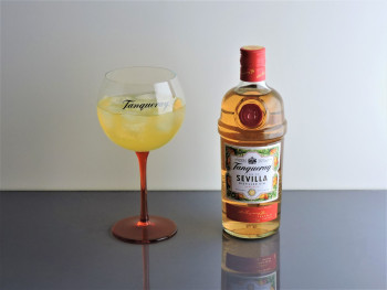 Copon Clasico Gin Tonic Pierna deColor C/Logo