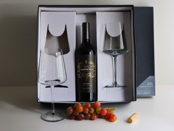 Packaging Copon Experiencia Merlot Liso