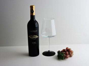 Copon Merlot Base de Color