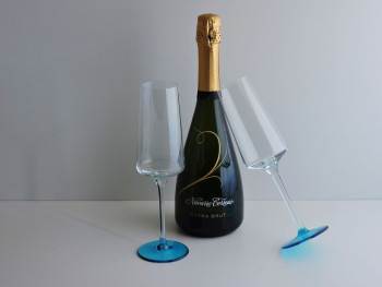 Copa Experiencia Champagne Base de Color