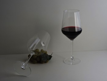 Copon Pinot Noir Liso