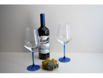 Copon Pinot Noir Pierna de Color