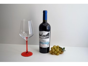 Copon Pinot Noir Pierna de Color